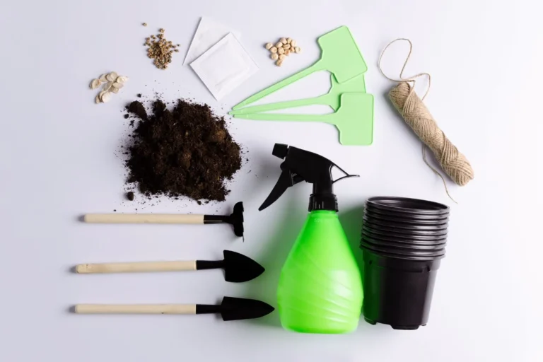 Dónde comprar cosas para el huerto en Tegucigalpa