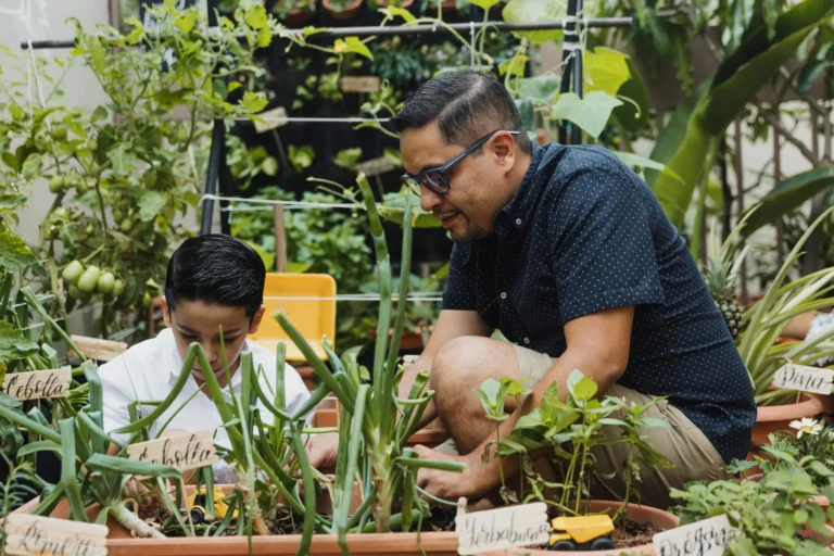 Un huerto en casa, un buen propósito de año nuevo