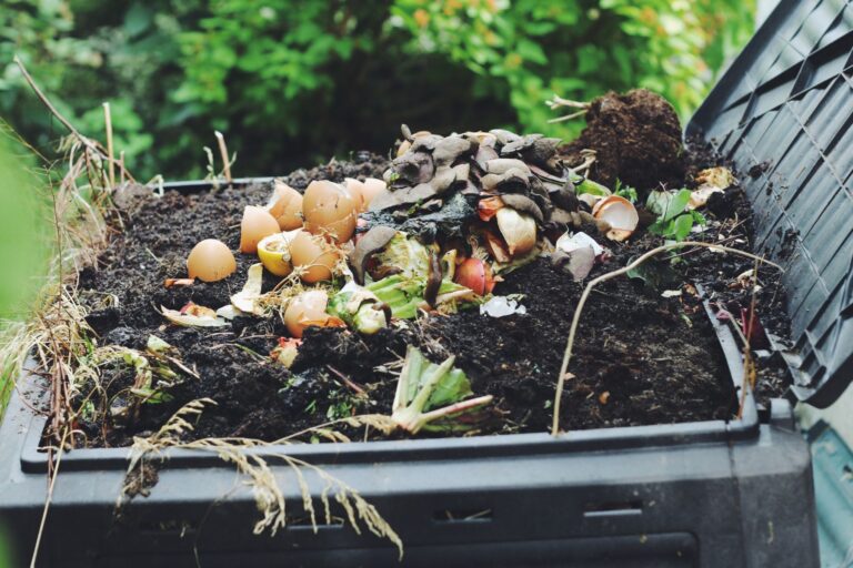 Cómo hacer compost en casa