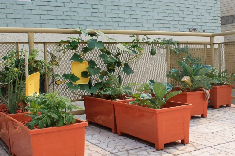 Cómo hacer un huerto en casa