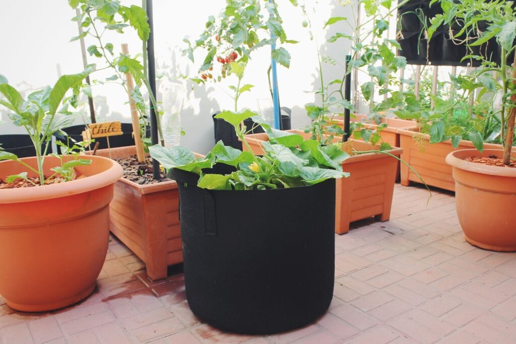 Beneficios de usar bolsas de cultivo en tu huerto